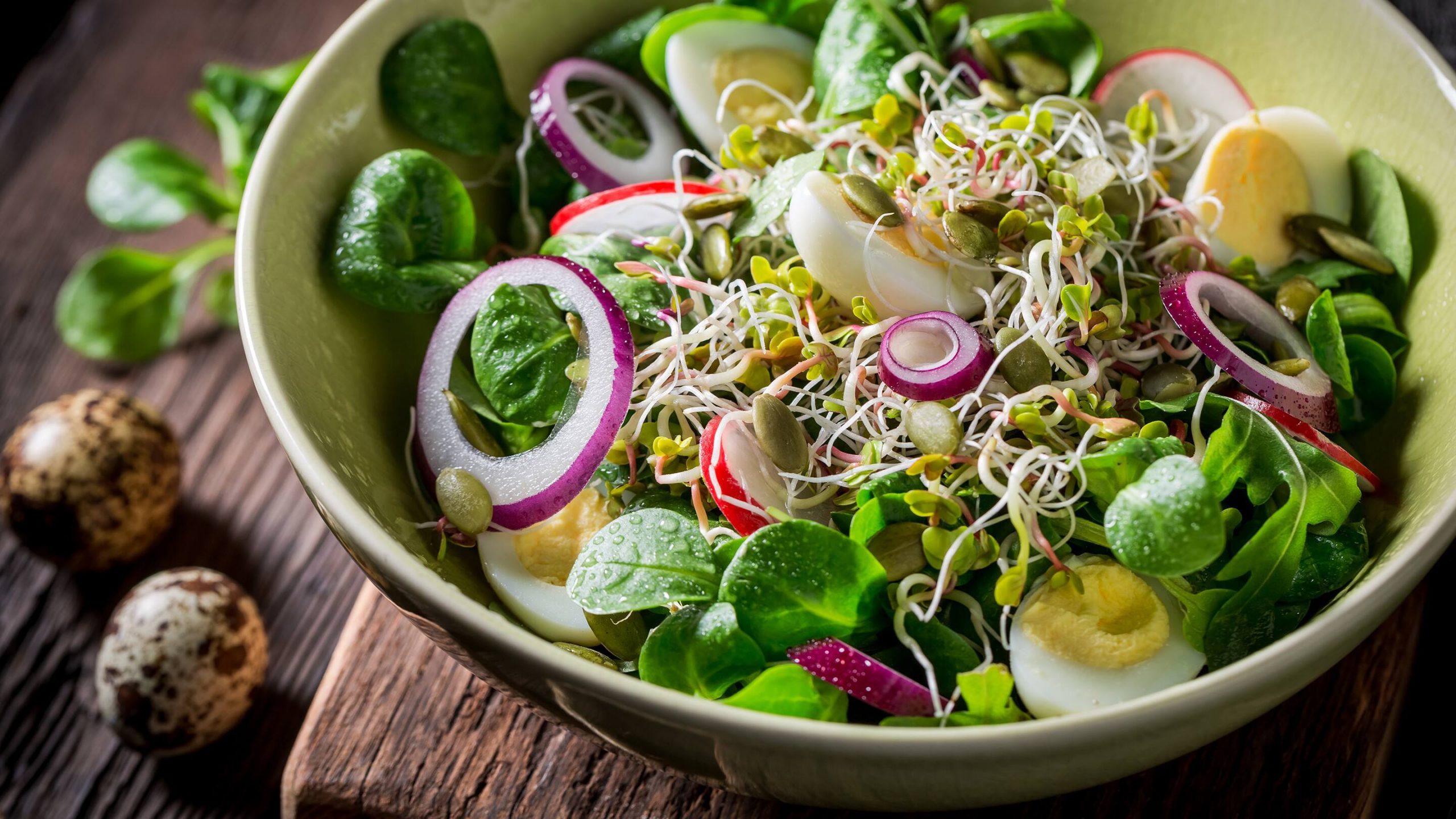 Một số công thức chế biến salad hỗ trợ cho việc giảm cân