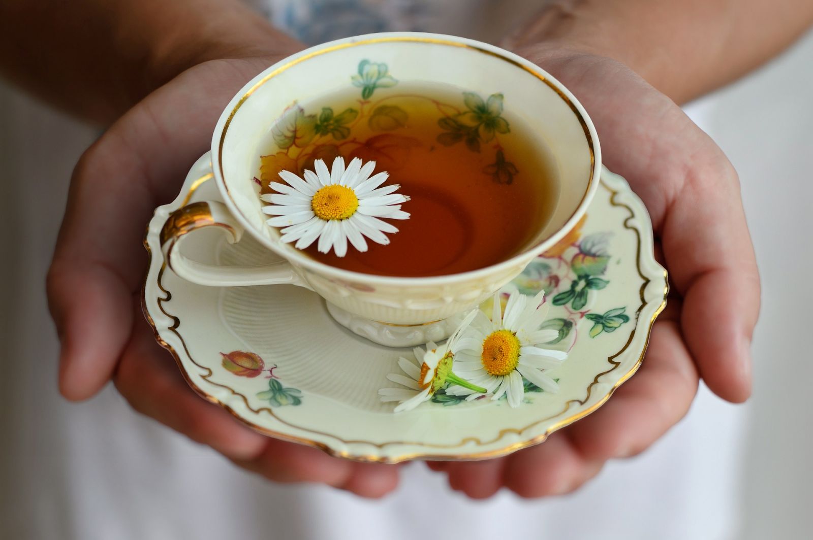 Uống trà hoa cúc trước khi ngủ để giảm mỡ